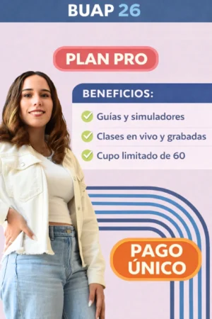 Curso PRO - Superior