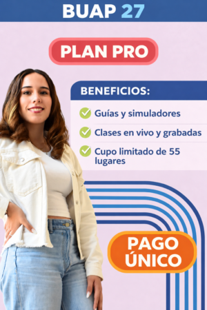 Curso PRO - Superior