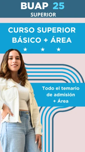 Curso Lobosimulador -Superior